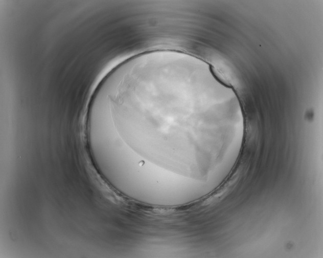 X0000102021052200808011419