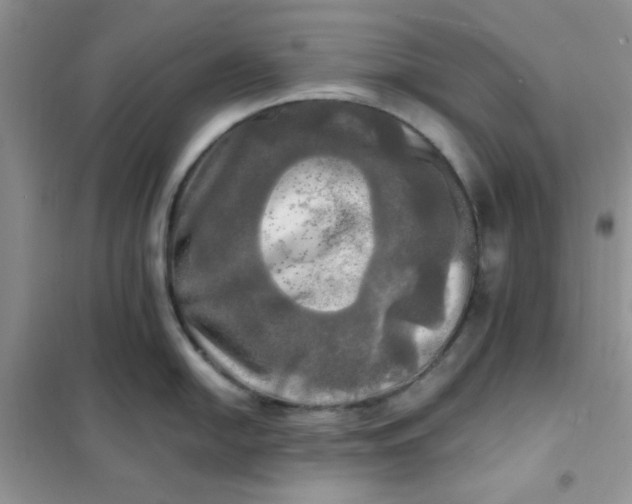 X0000102021054200808011419