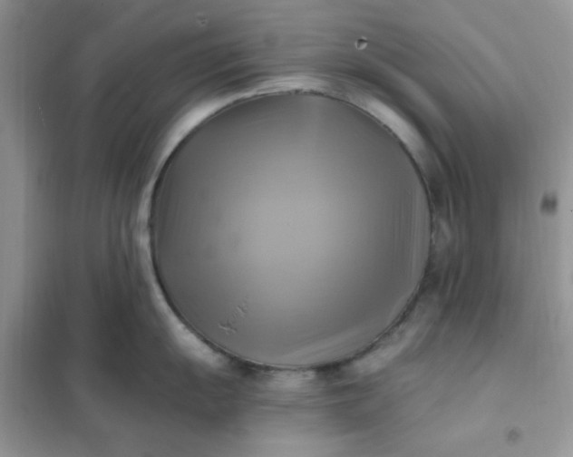 X0000102021055200808011419