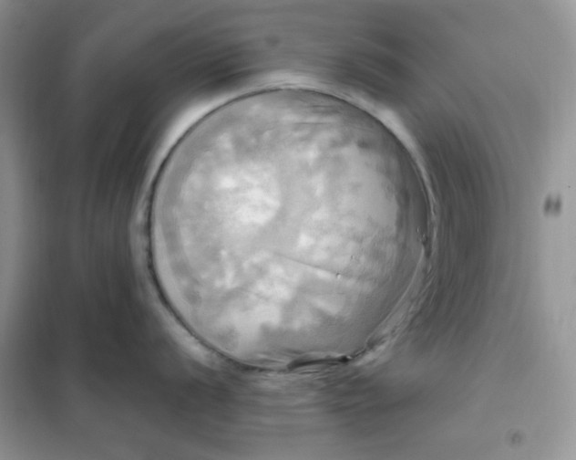 X0000102021056200808011419