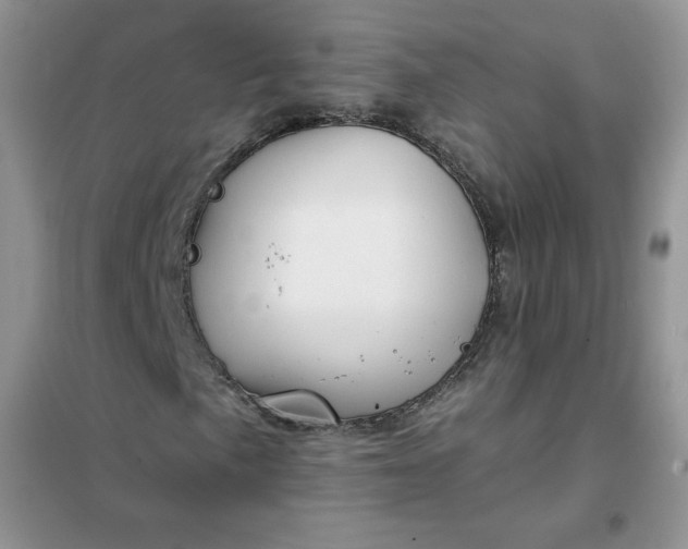 X0000102021057200808011418