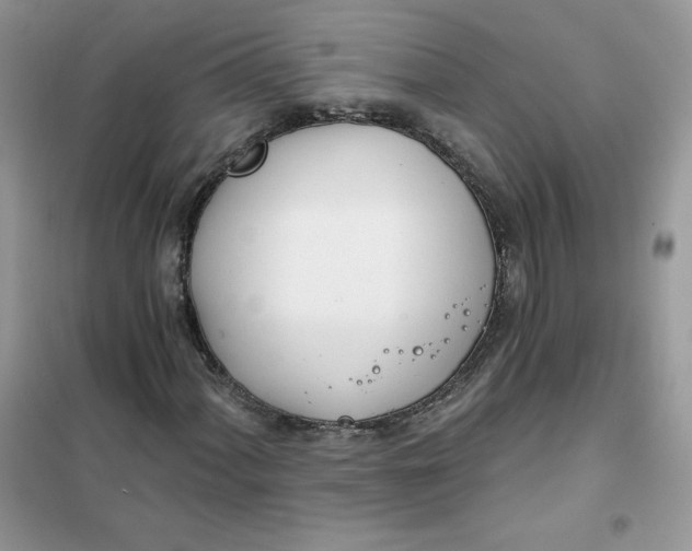 X0000102021060200808011418