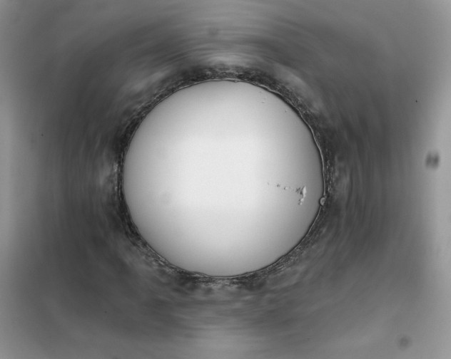 X0000102021061200808011418