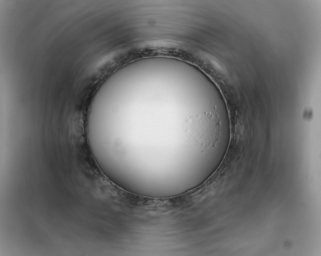 X0000102021062200808011418