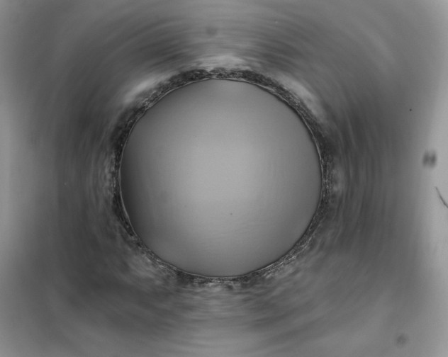X0000102021063200808011418