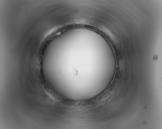 X0000102021064200808011418