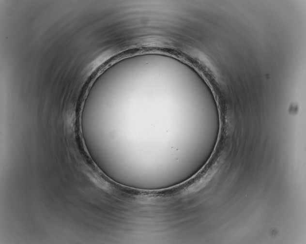 X0000102021065200808011418