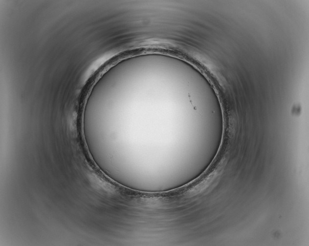 X0000102021066200808011418