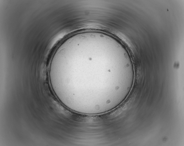 X0000102021067200808011418