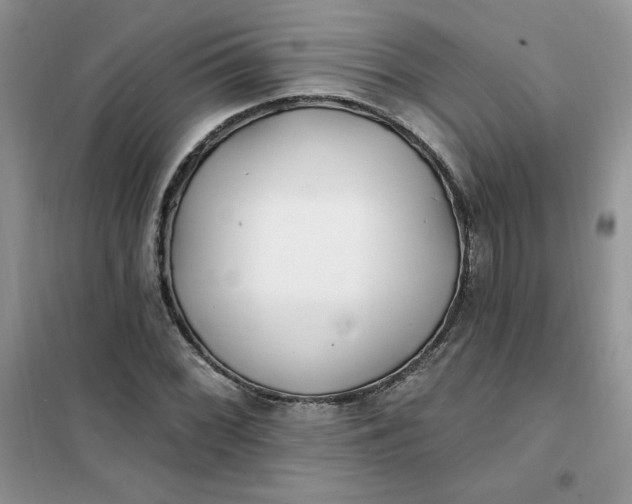 X0000102021068200808011418