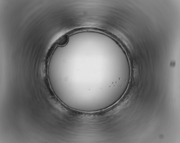 X0000102021069200808011418