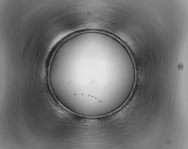 X0000102021070200808011418