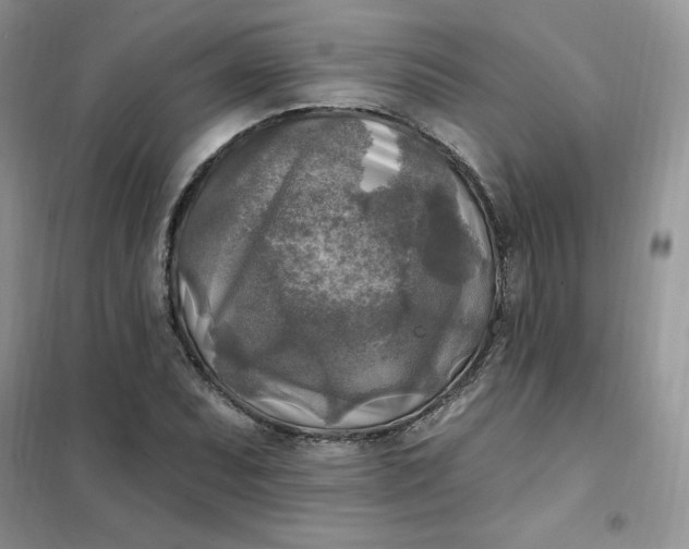 X0000102021071200808011418