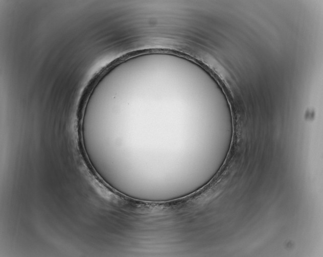 X0000102021072200808011418