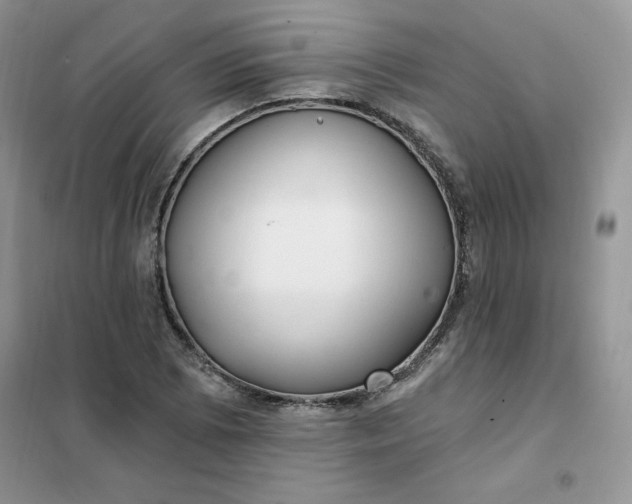 X0000102021073200808011418