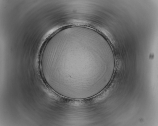 X0000102021074200808011418