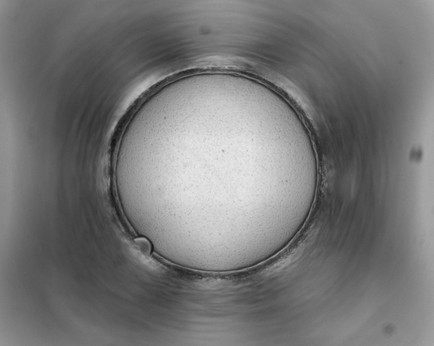 X0000102021075200808011418