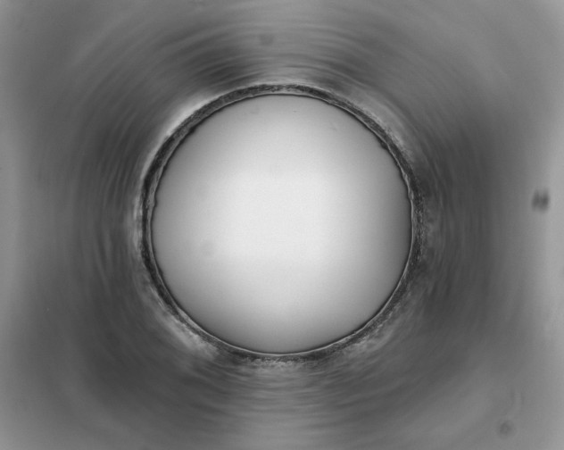 X0000102021076200808011418