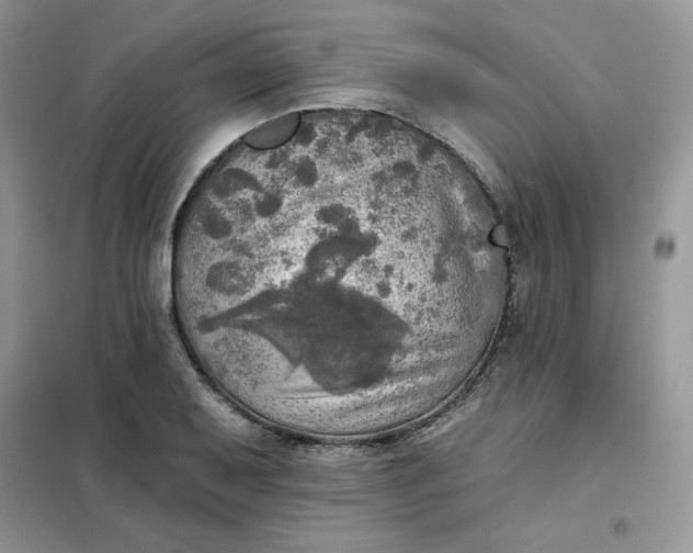 X0000102021079200808011418