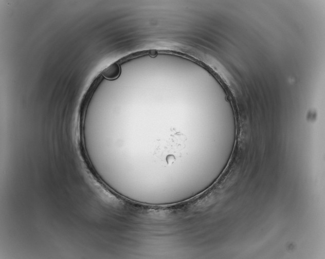 X0000102021080200808011418