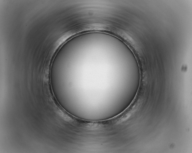 X0000102021081200808011418