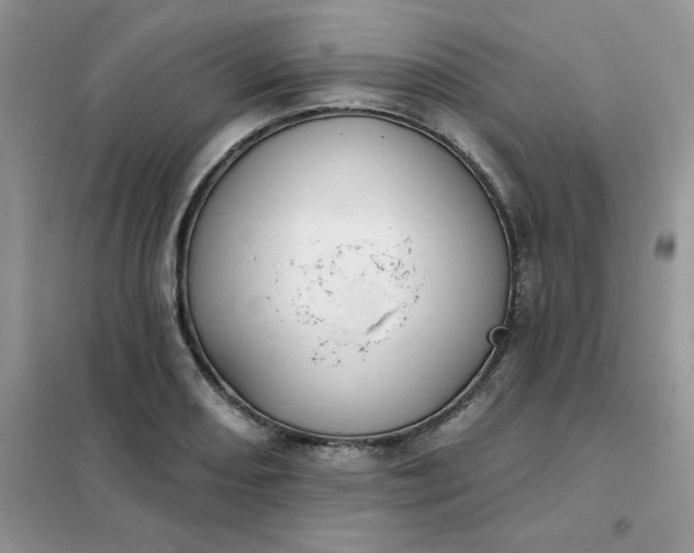 X0000102021082200808011418
