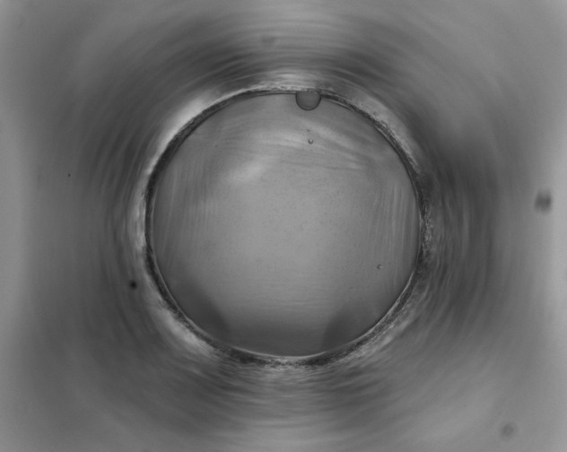 X0000102021083200808011418