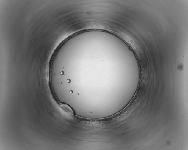 X0000102021084200808011418