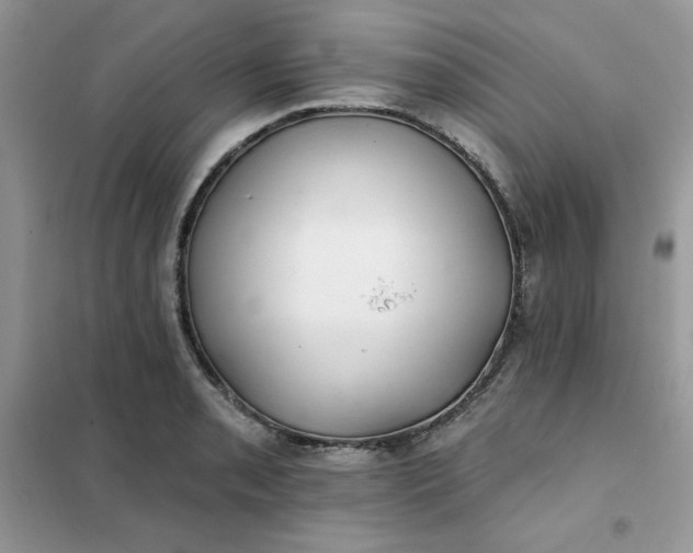 X0000102021085200808011418