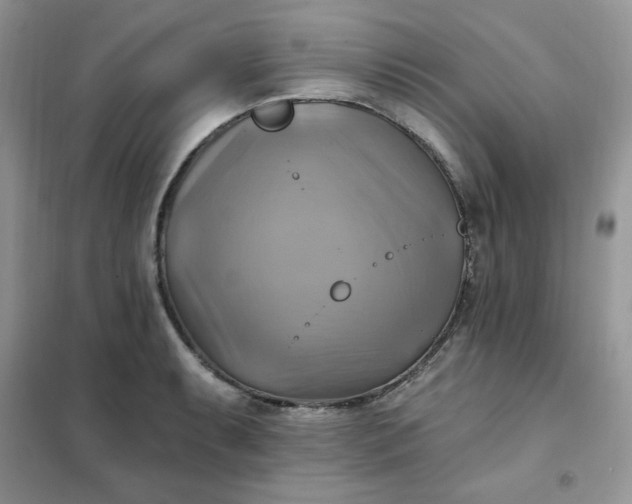 X0000102021087200808011418