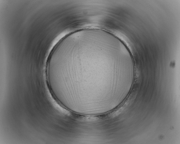 X0000102021090200808011418