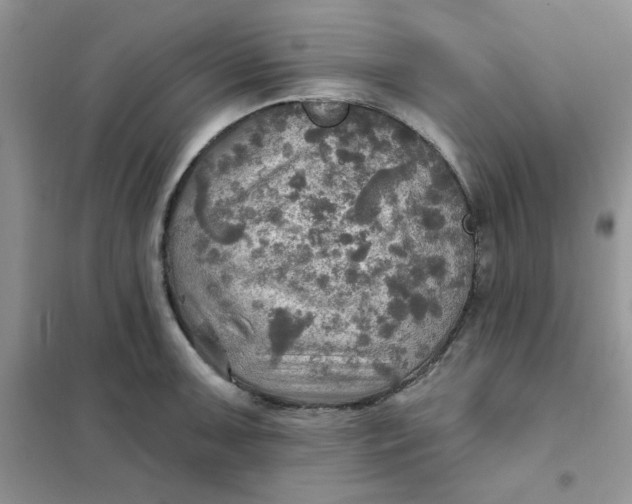 X0000102021091200808011418