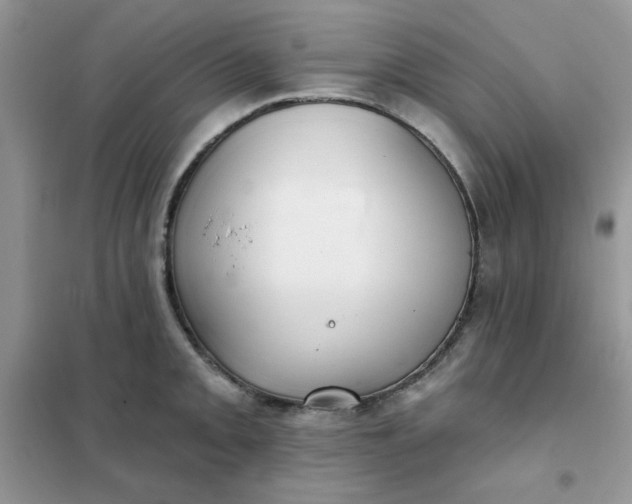 X0000102021093200808011418