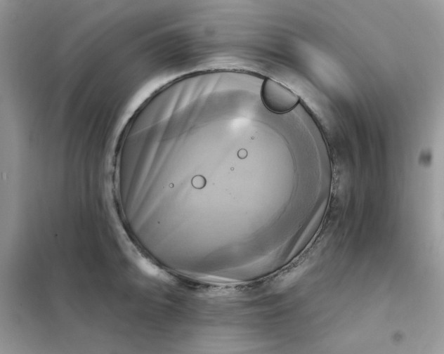 X0000102021094200808011418