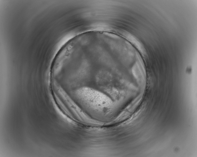 X0000102021095200808011418
