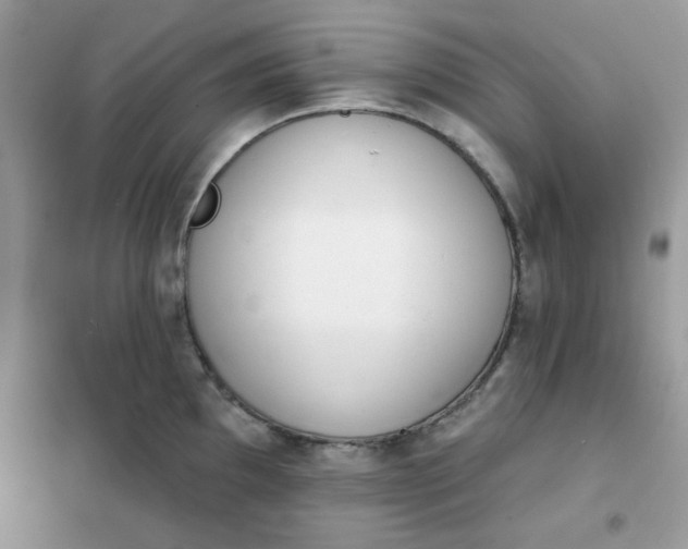 X0000102021097200808011418