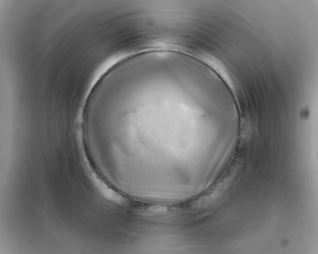 X0000102021098200808011418