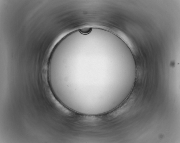 X0000102021100200808011418