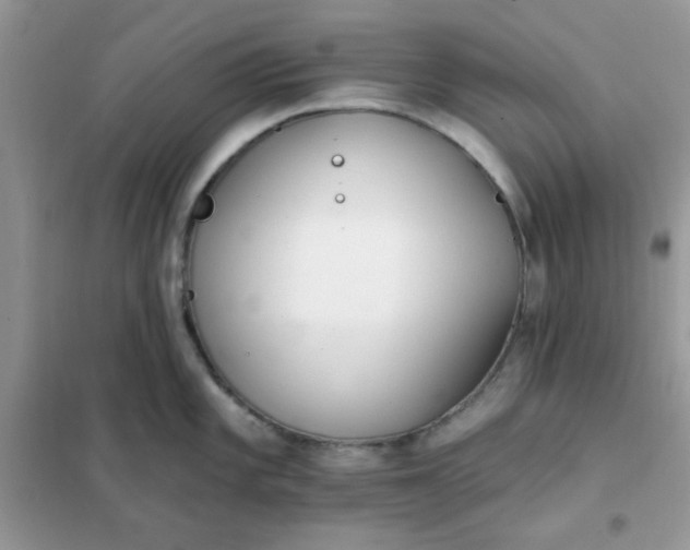 X0000102021101200808011418