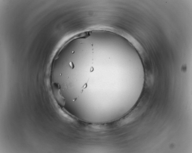 X0000102021102200808011418