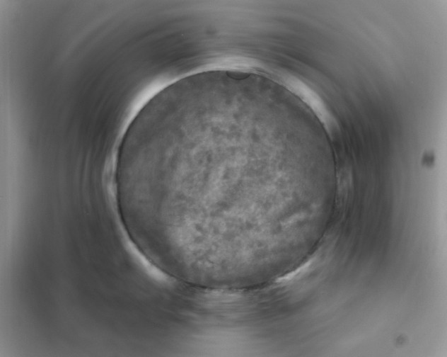 X0000102021103200808011418