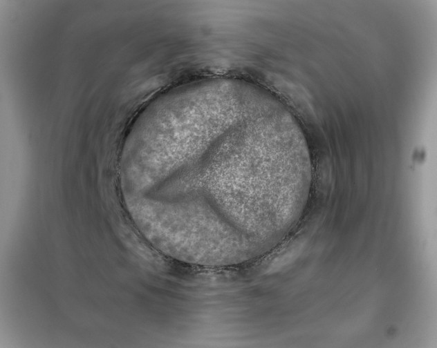 X0000102021105200808011417