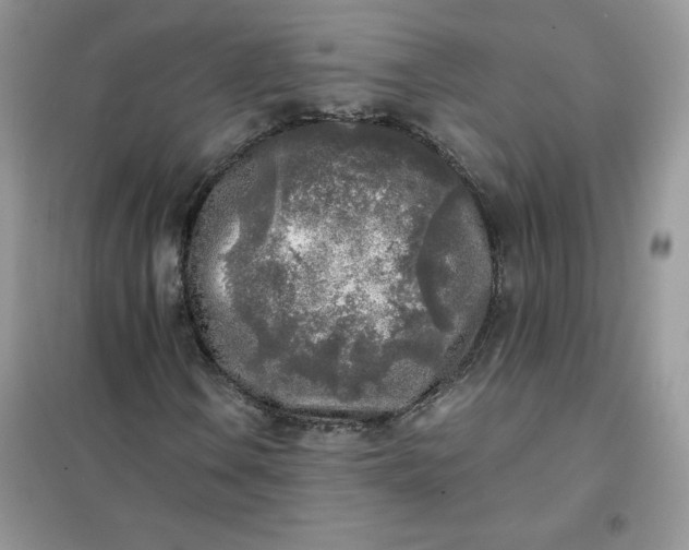 X0000102021106200808011417