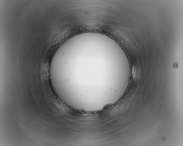 X0000102021107200808011417