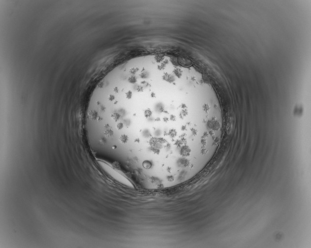 X0000102021108200808011417