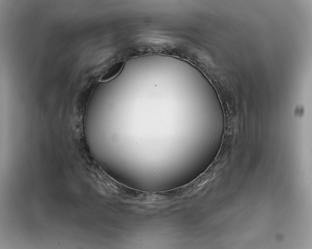 X0000102021109200808011417