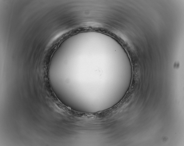 X0000102021112200808011417