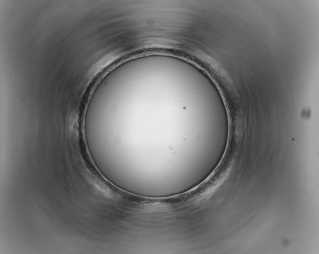 X0000102021113200808011417