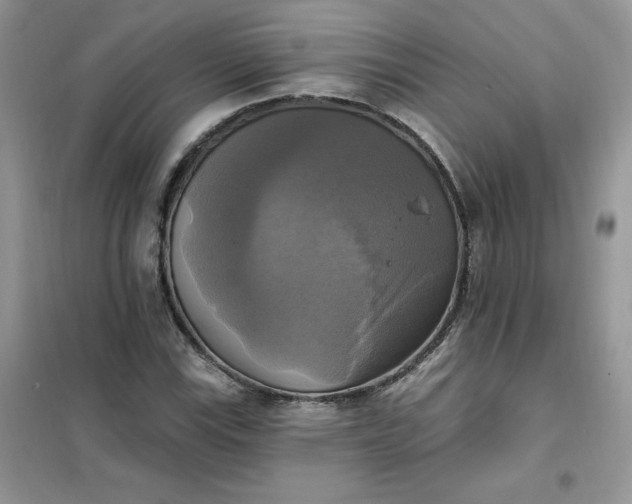 X0000102021115200808011417