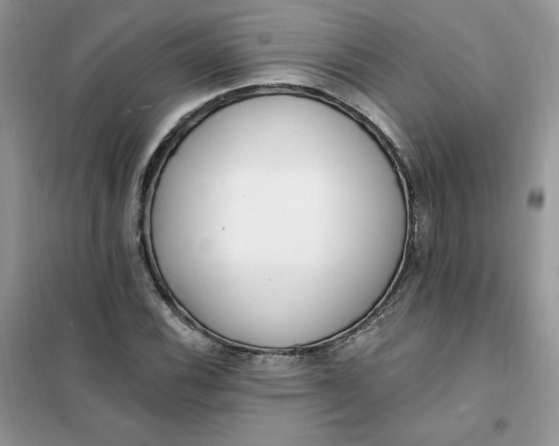 X0000102021116200808011417